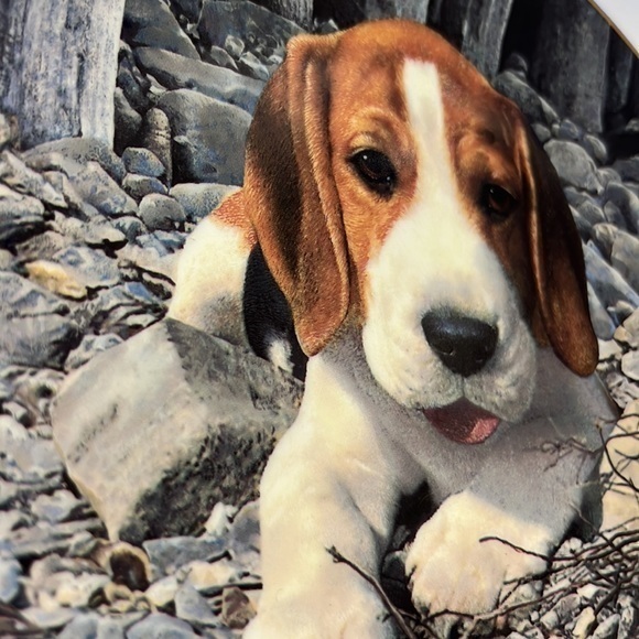 BEAGLES lovers plate by Simon‎ Mendez - Picture 4 of 10